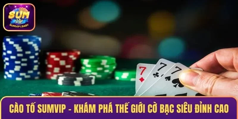 Cào Tố Sumvip